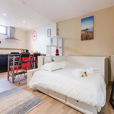 Studio Next To Bordeaux City Center With A Terrace Bègles Extérieur photo
